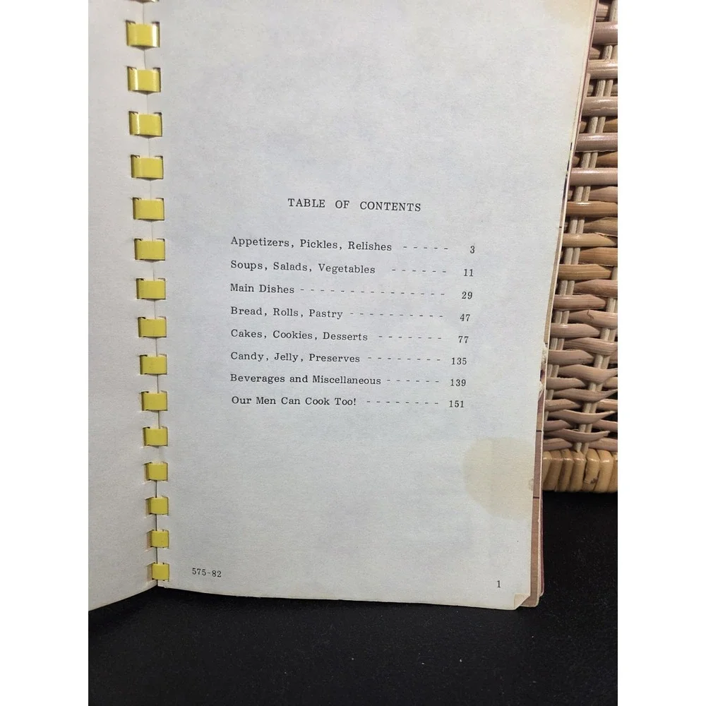 Vintage Catawba County North‎ Carolina Cookbook Handicapped Children 1982